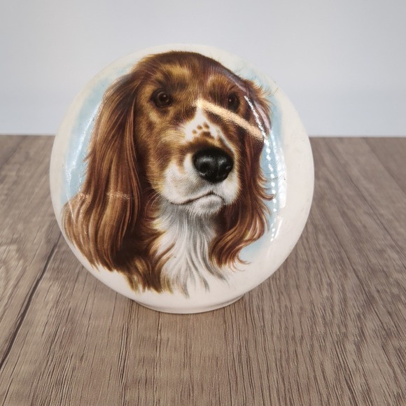 Crown Staffordshire‎ Decorative China Spaniel Dog Fine Bone China England - Picture 1 of 7